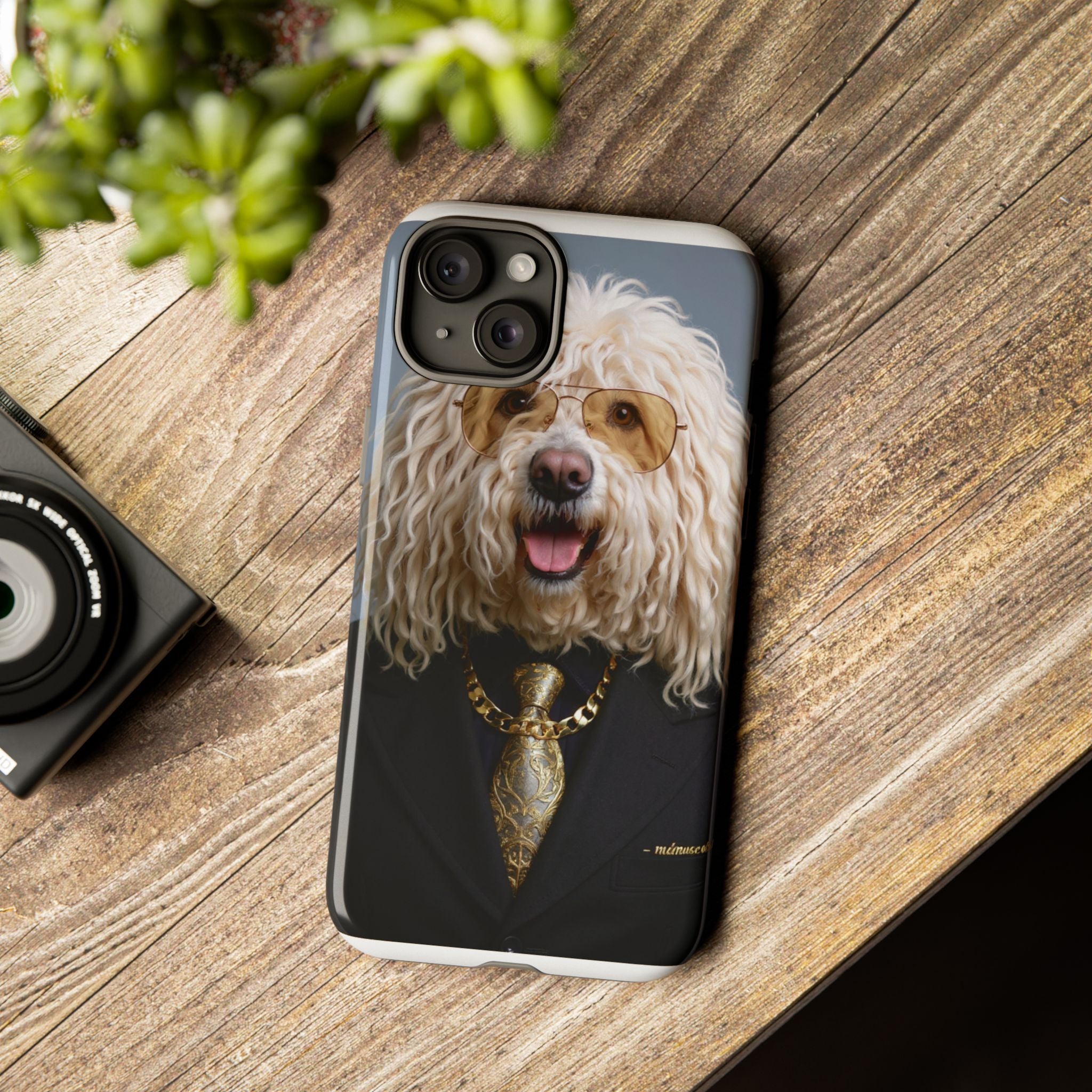Dog Portrait PhCase - Mateusz Style - 971f1619