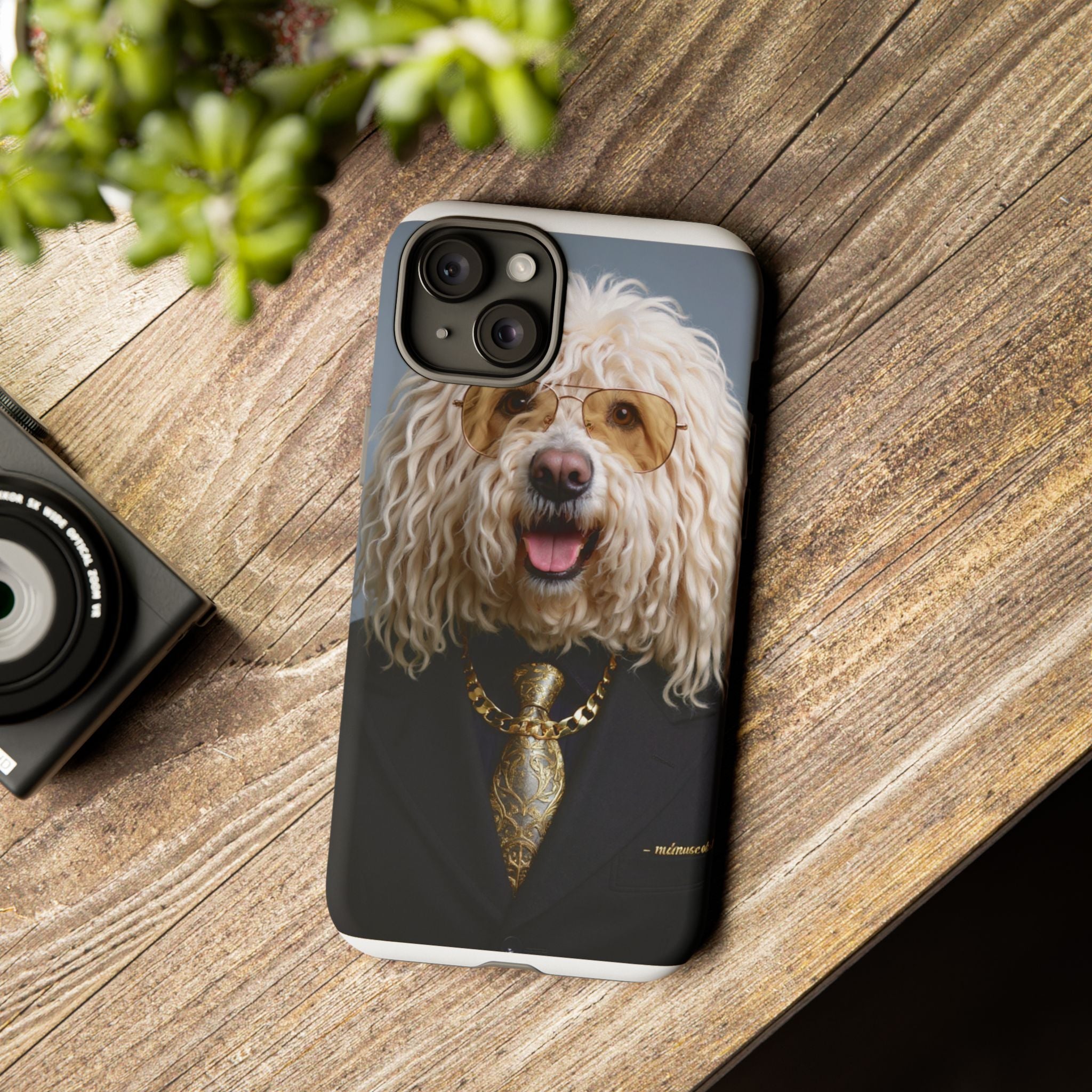 Dog Portrait PhCase - Mateusz Style - 971f1619