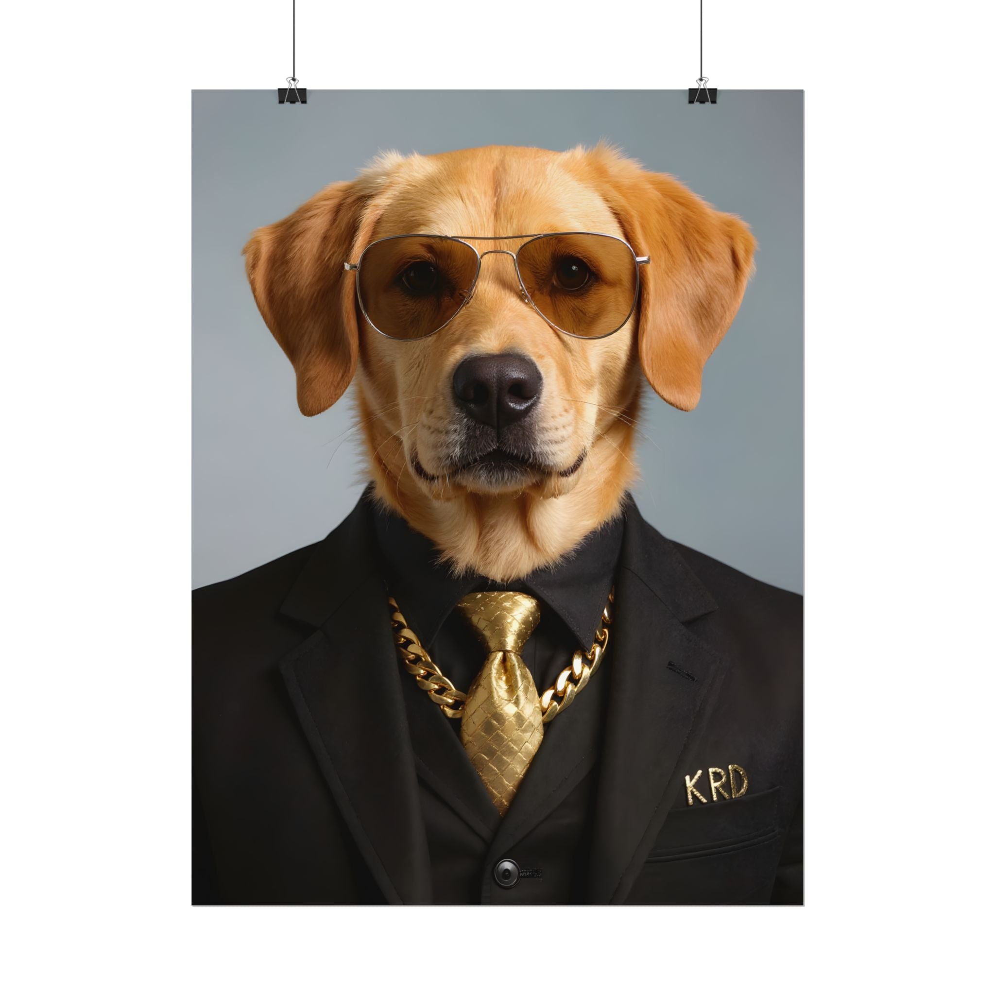 Dog Portrait FinArt - Mateusz Style - 1fe5a061